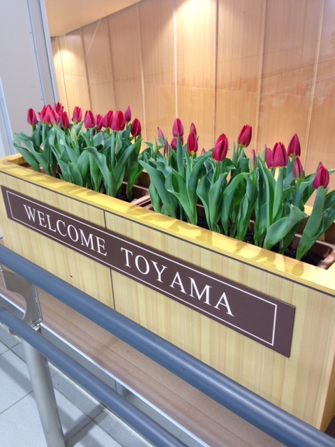 北陸新幹線 花と緑のおもてなしプランター！！