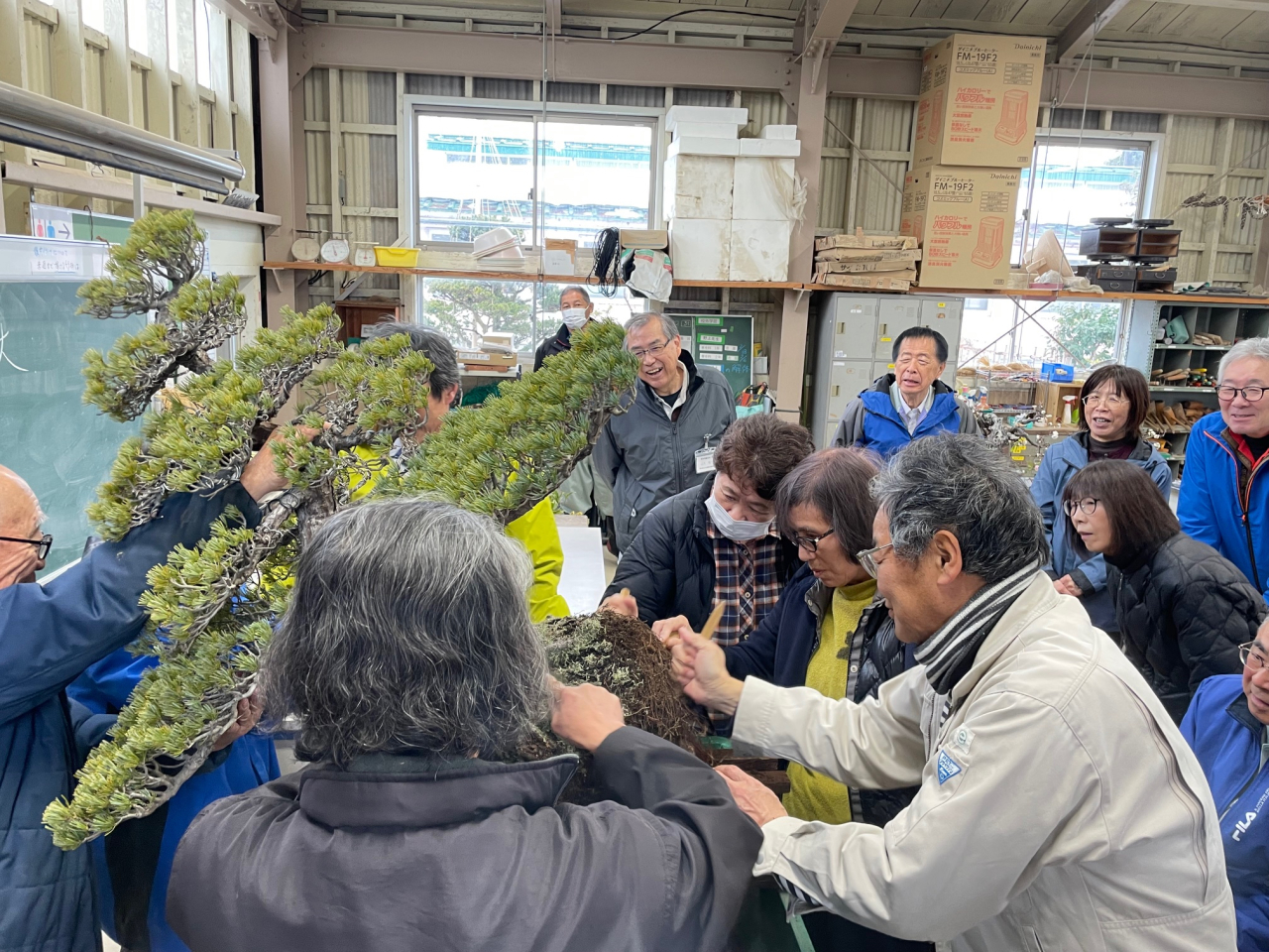 最後の授業でみなさんの卒業式用の盆栽をみんなで植替えました。