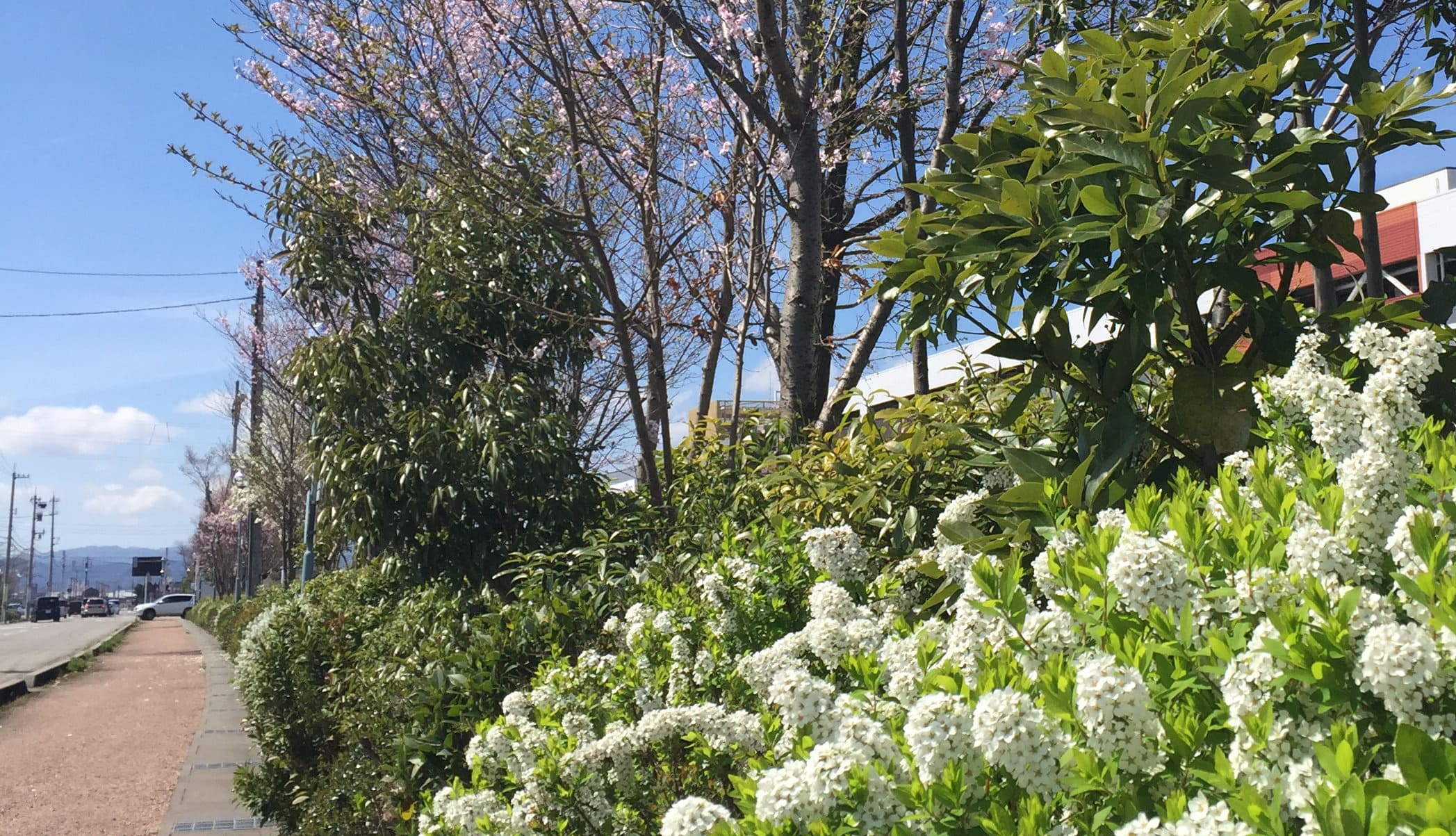 B屋外造園